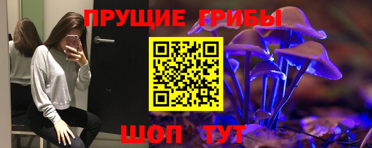 Кизляр  Псилоцибиновые грибы Magic Shrooms  Вход с VPN 